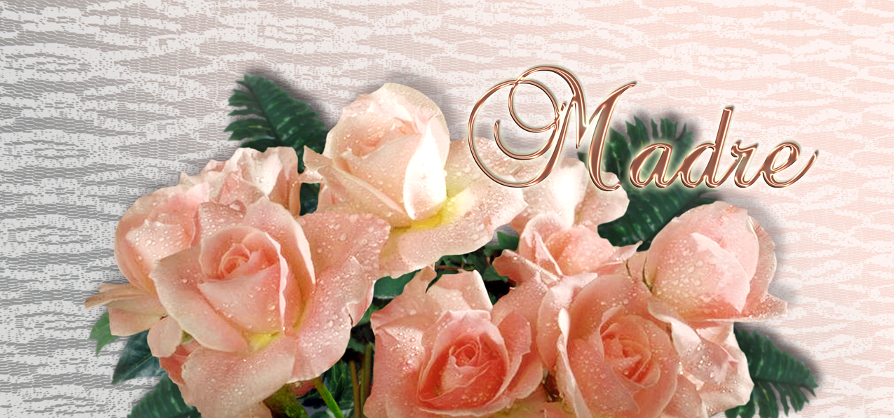 Bouquet Of Roses Peach Peach Madre